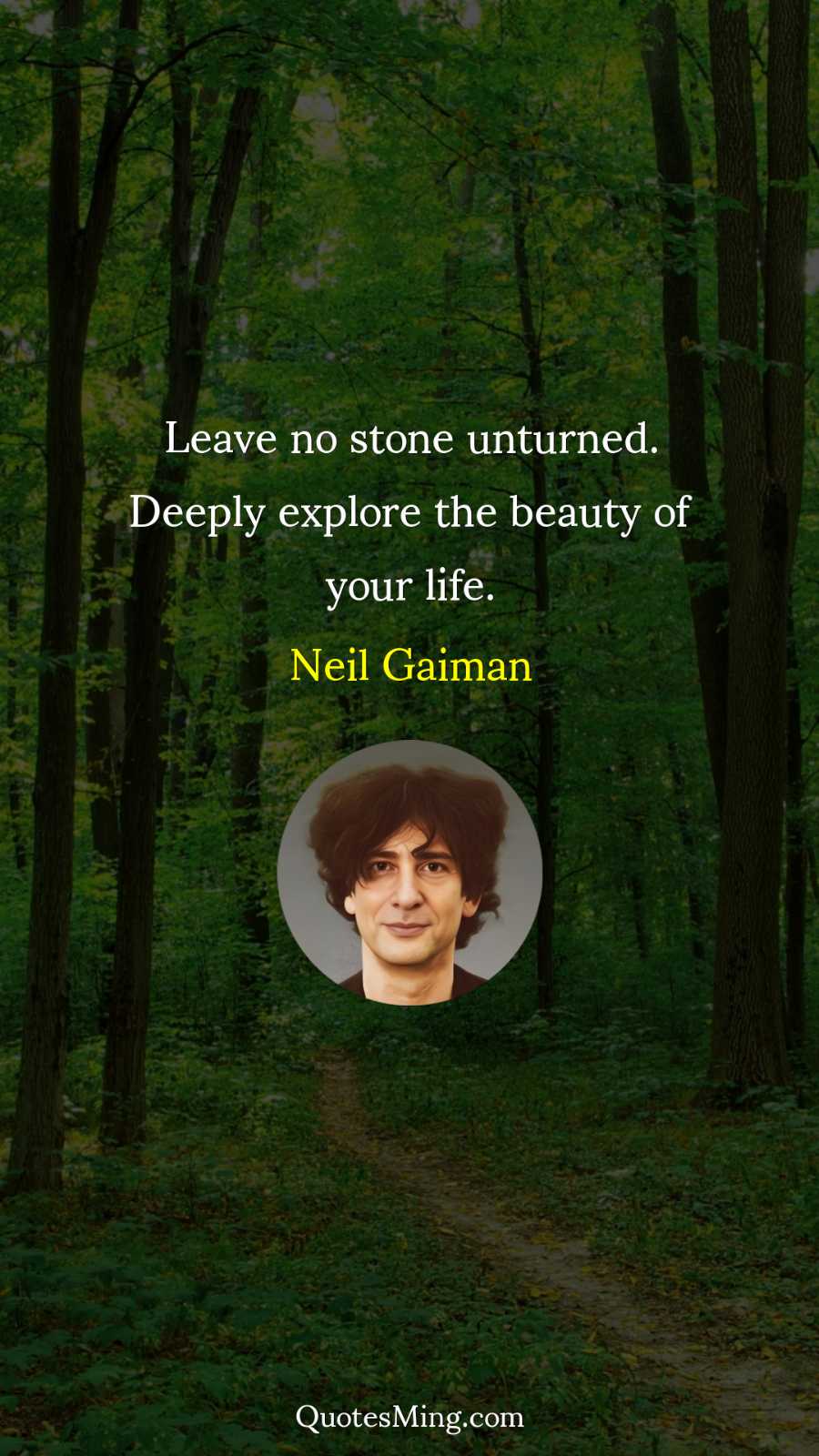 Leave no stone unturned Deeply explore the beauty of your