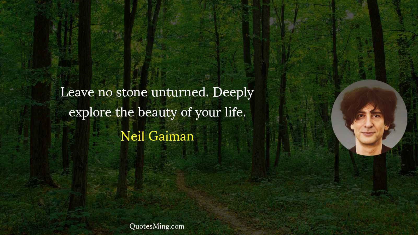 Leave no stone unturned Deeply explore the beauty of your