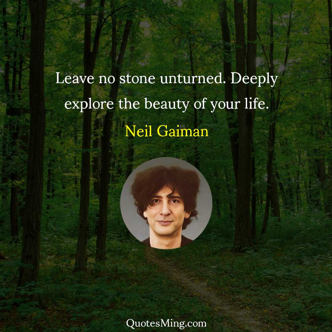 Leave no stone unturned Deeply explore the beauty of your