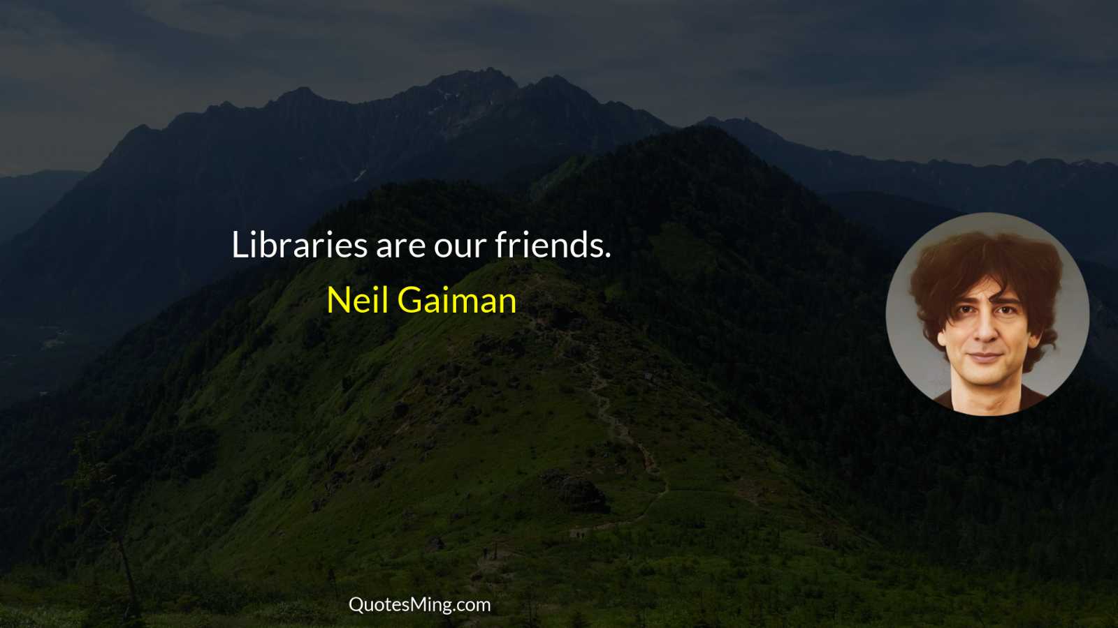 Libraries are our friends