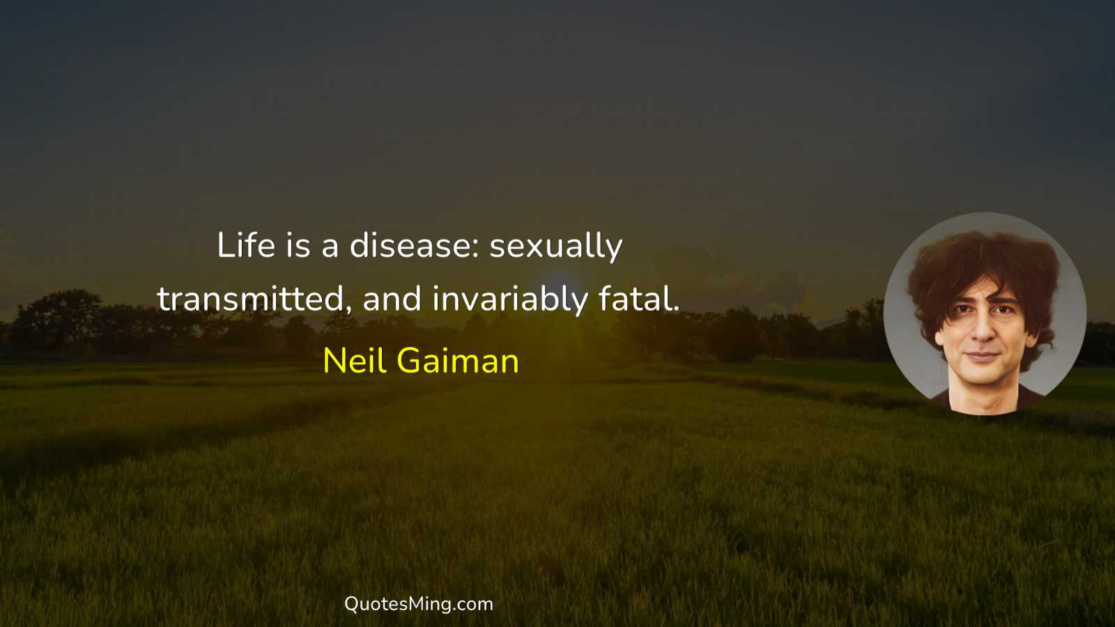 Life is a disease: sexually transmitted and invariably fatal