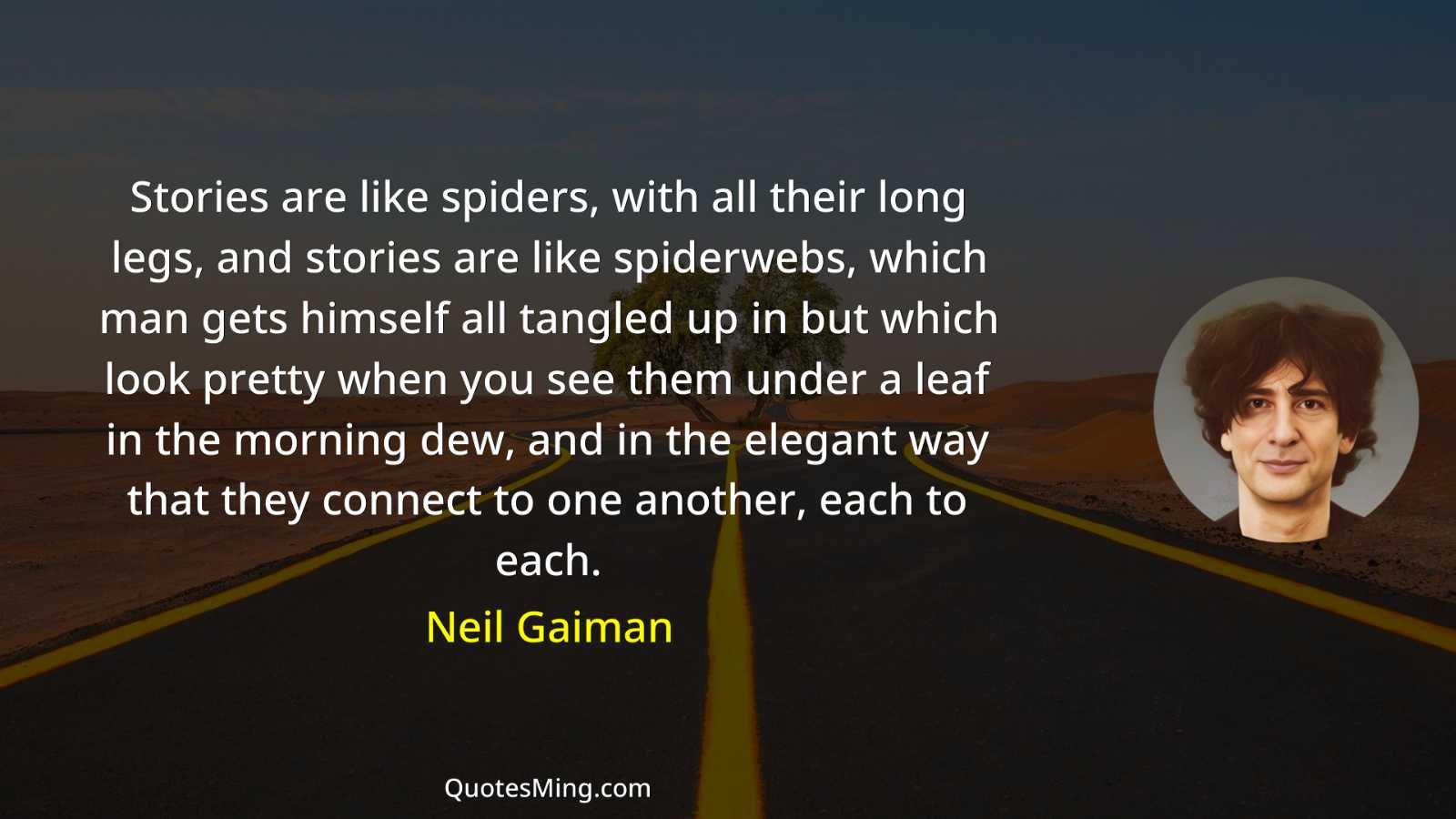 Stories are like spiders with all their long legs and