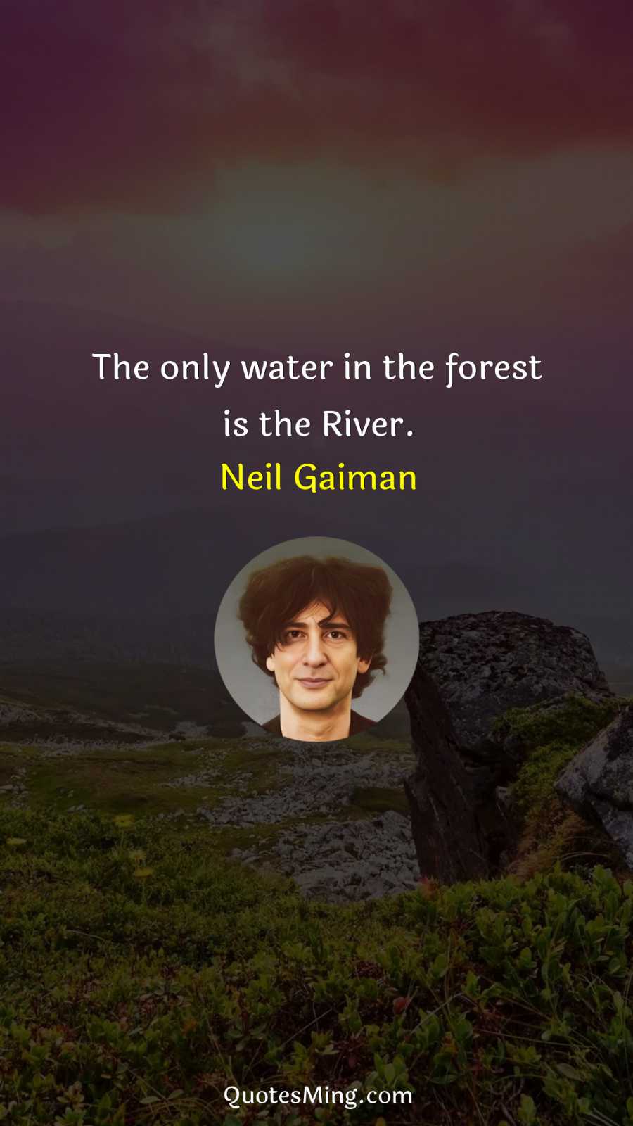 The only water in the forest is the River