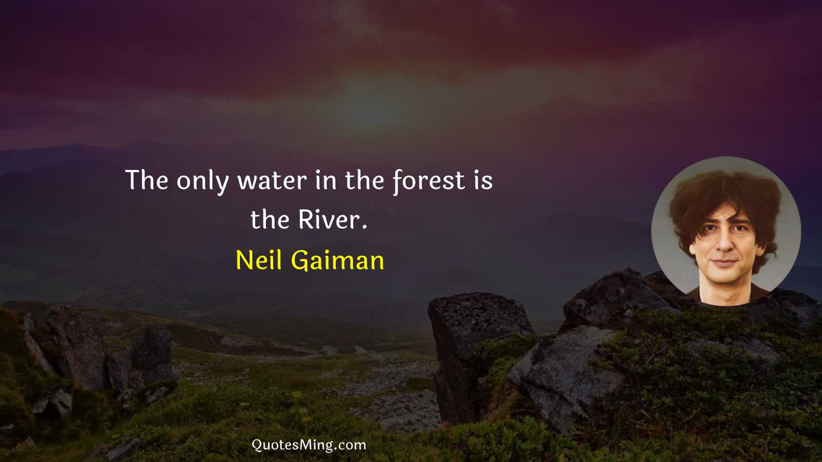 The only water in the forest is the River