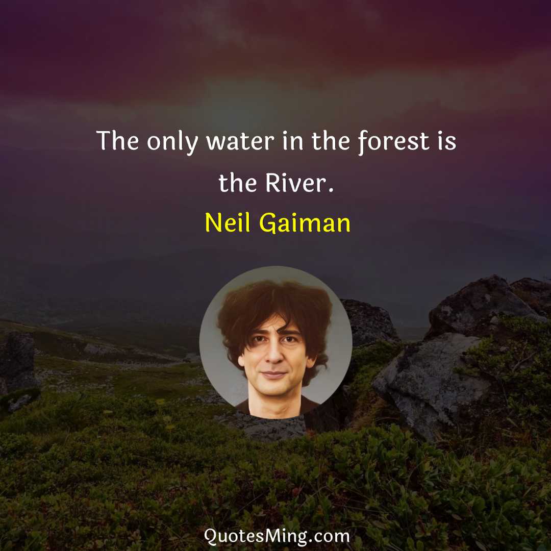 The only water in the forest is the River