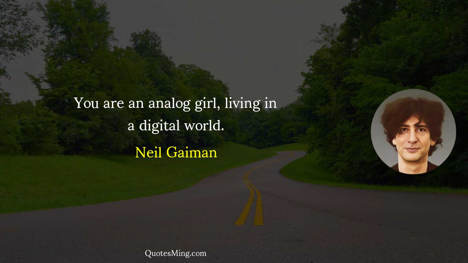 You are an analog girl living in a digital world