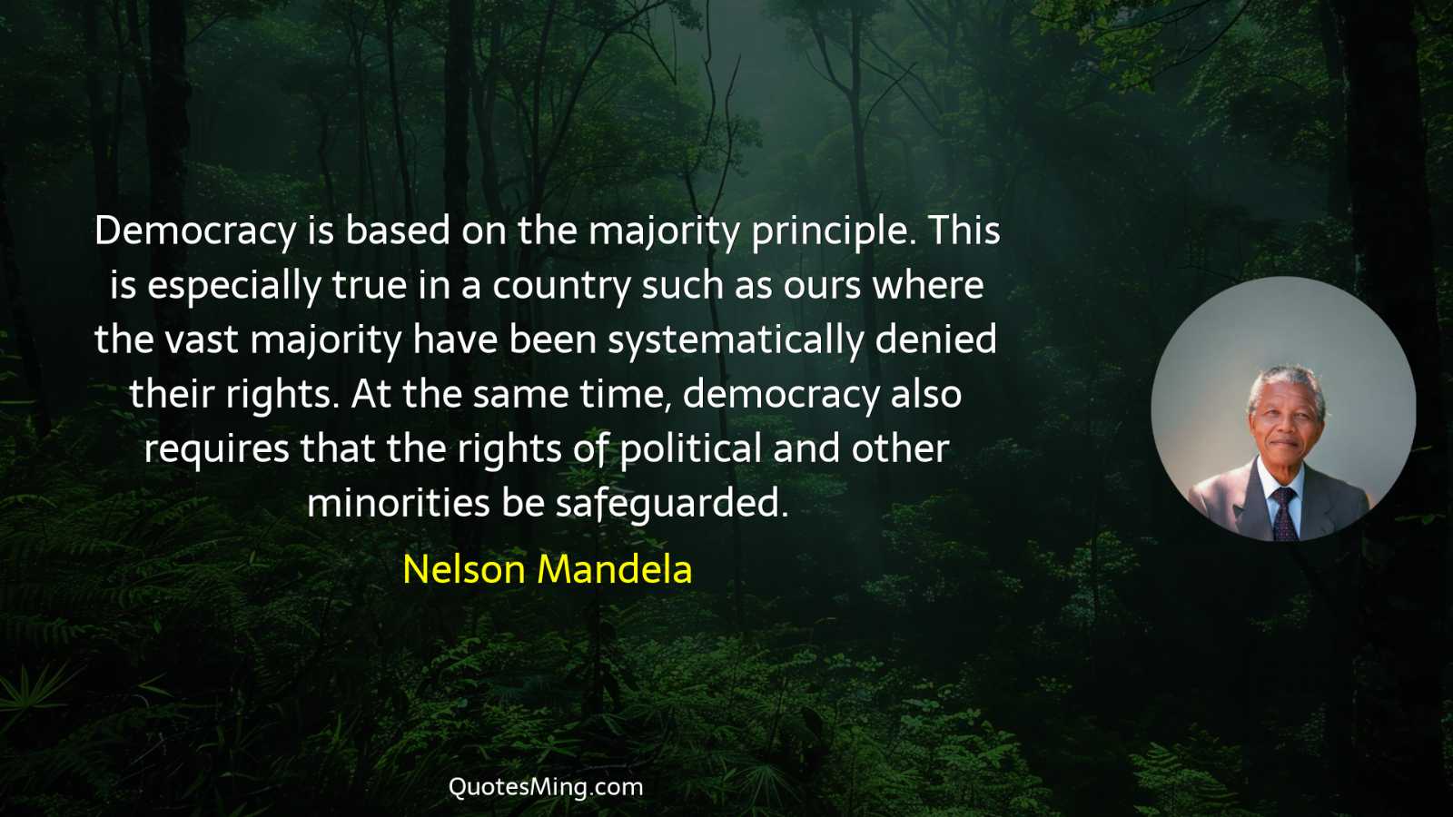 Democracy is based on the majority principle This is especially