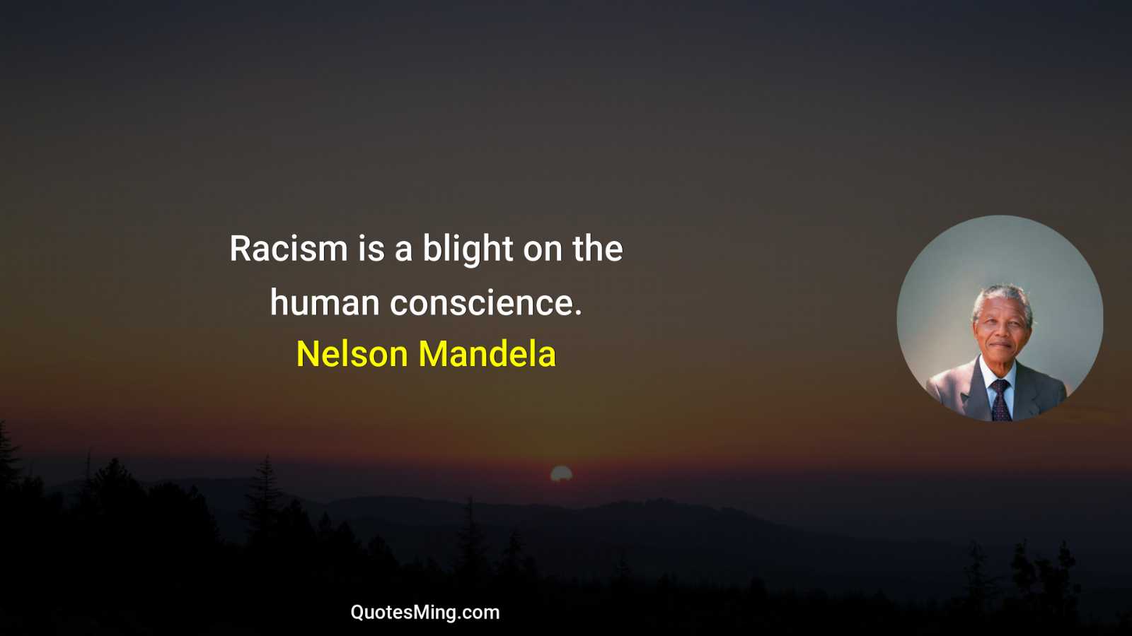 Racism is a blight on the human conscience