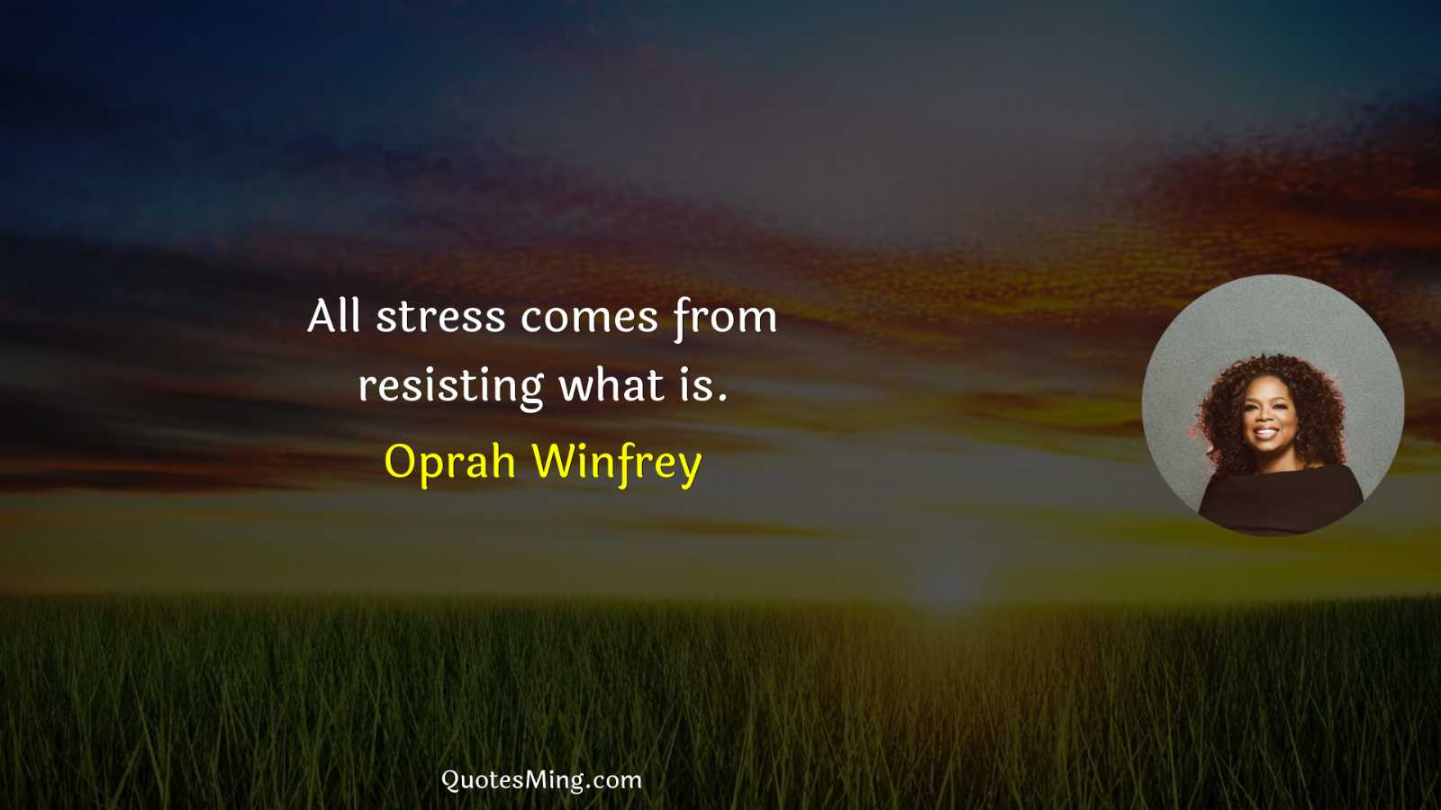 All stress comes from resisting what is