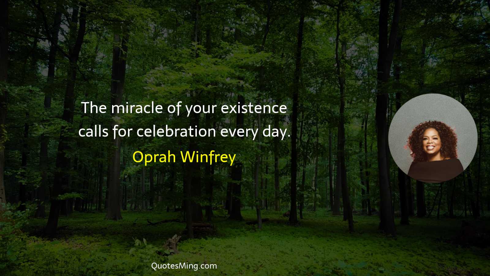 The miracle of your existence calls for celebration every day