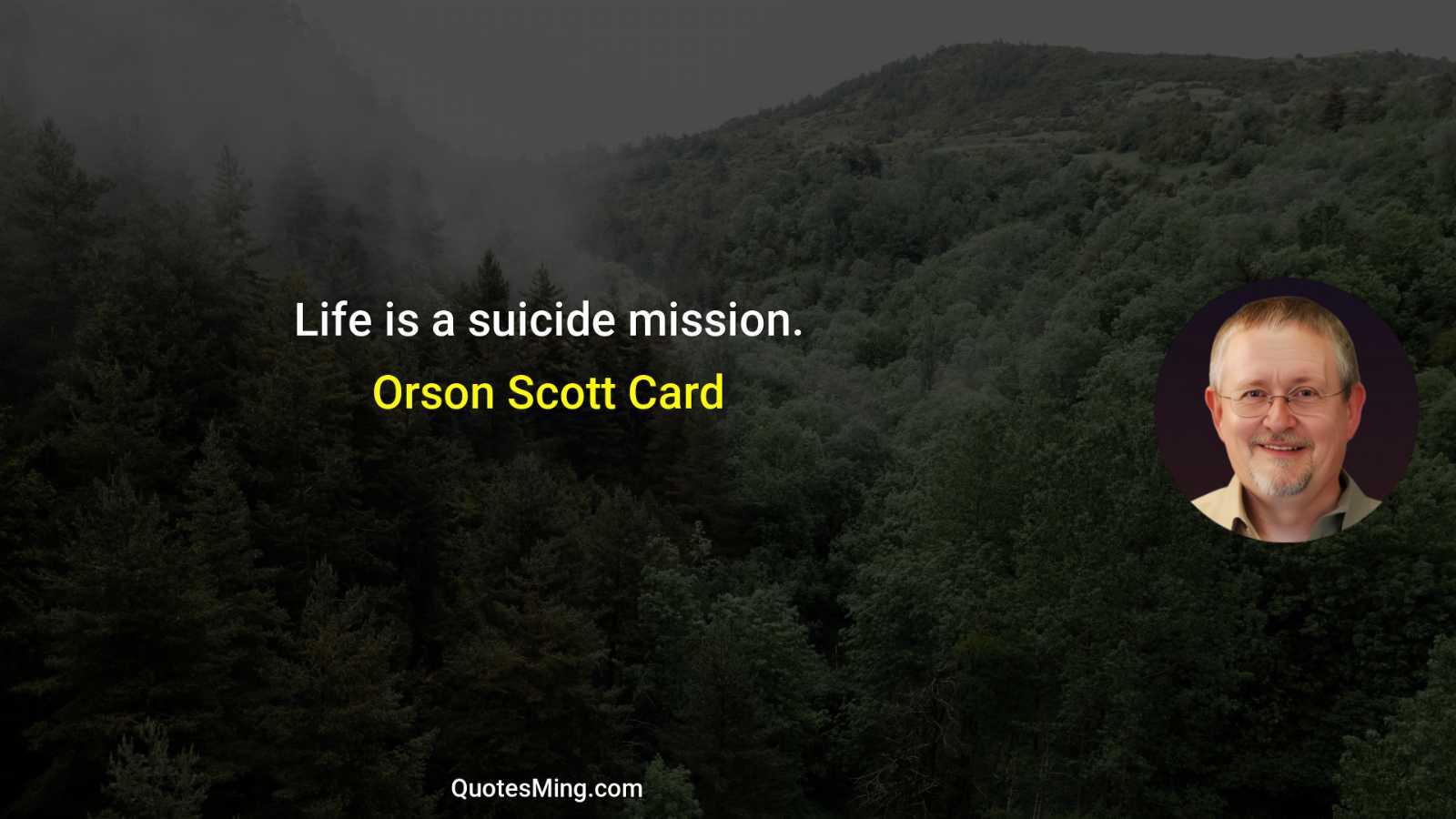 Life is a suicide mission