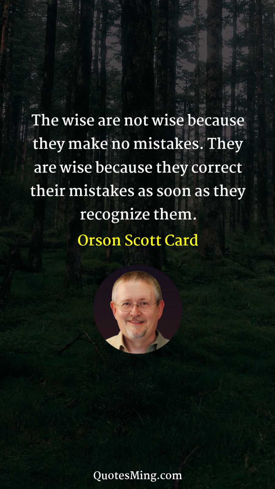 The wise are not wise because they make no mistakes