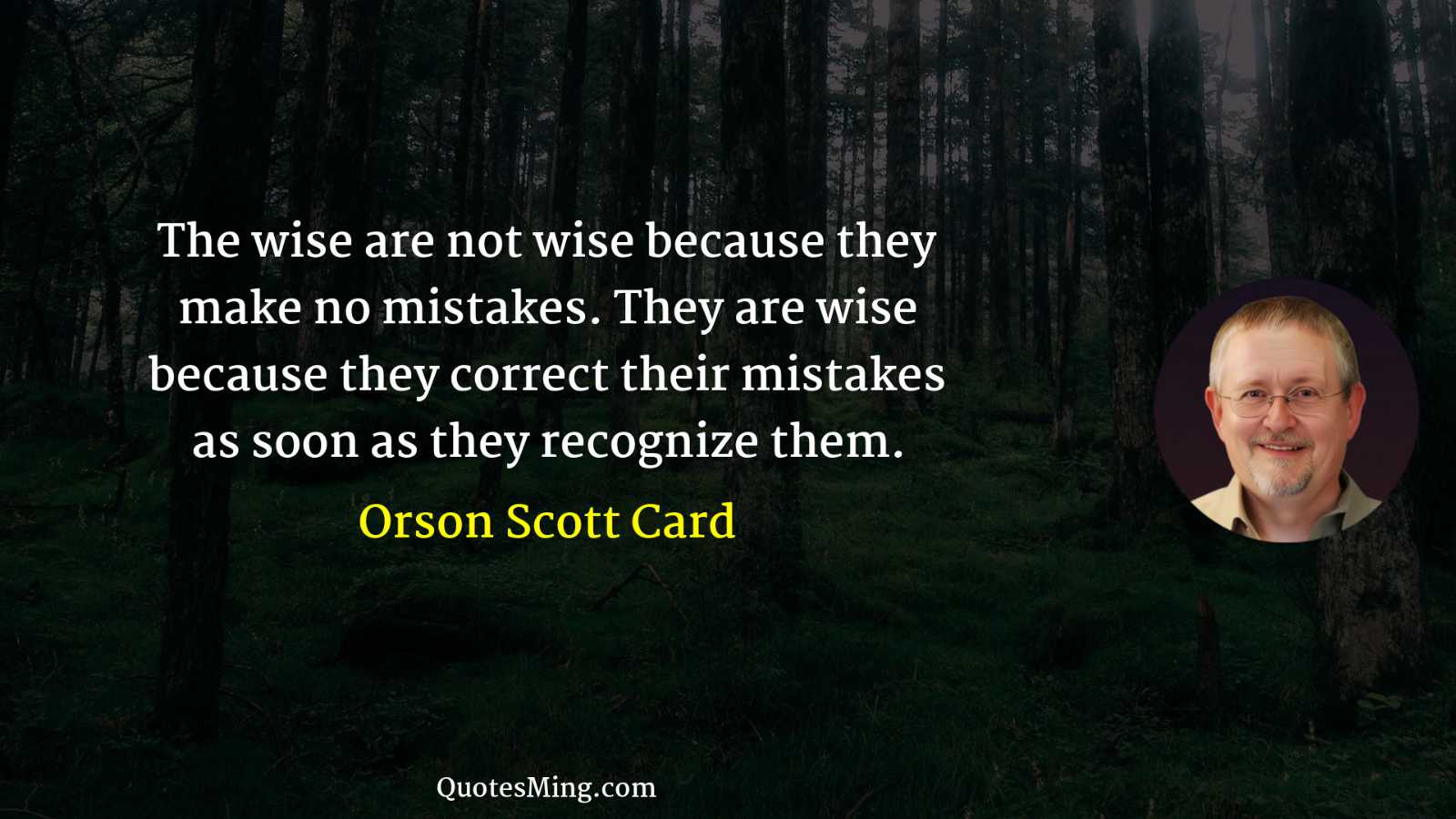 The wise are not wise because they make no mistakes