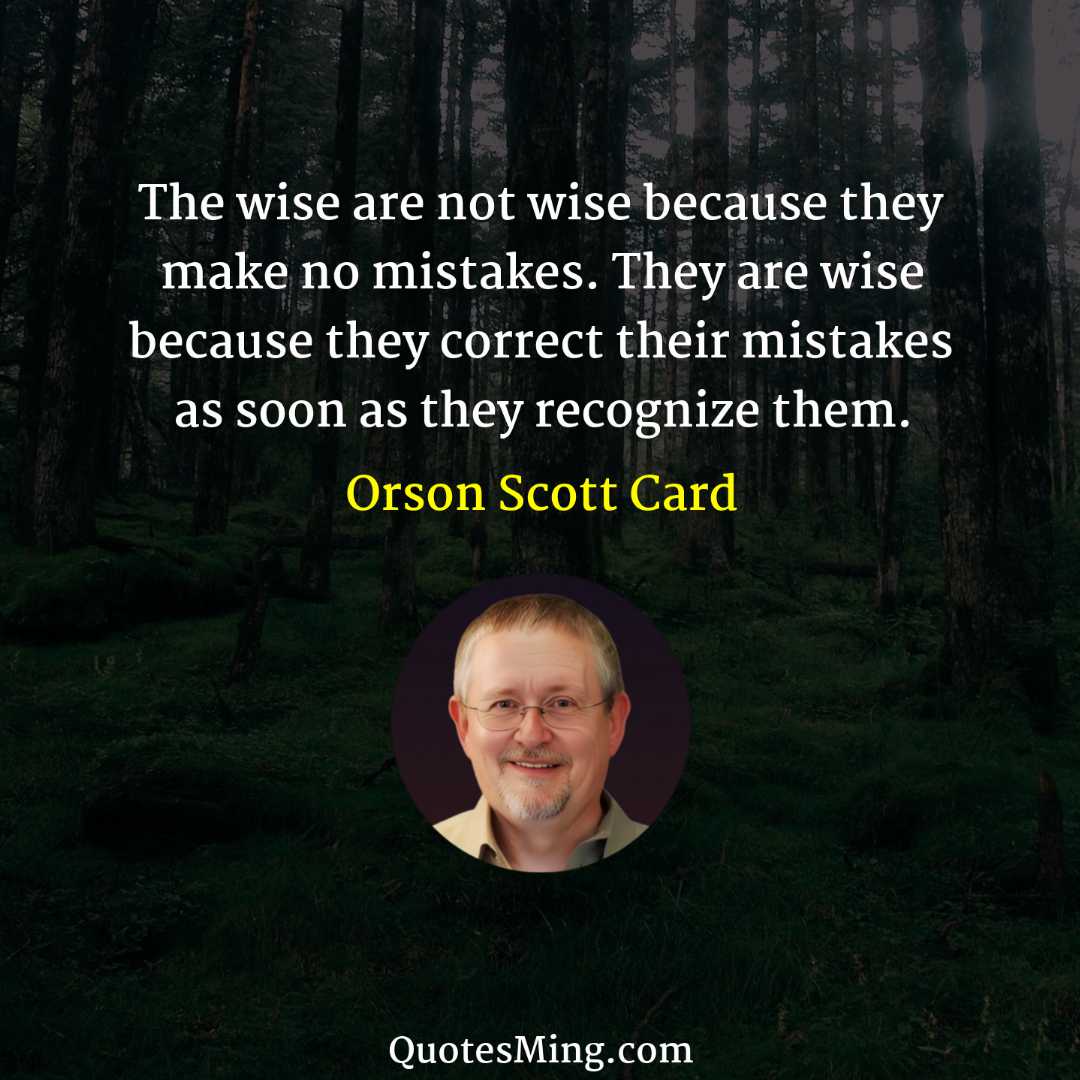 The wise are not wise because they make no mistakes