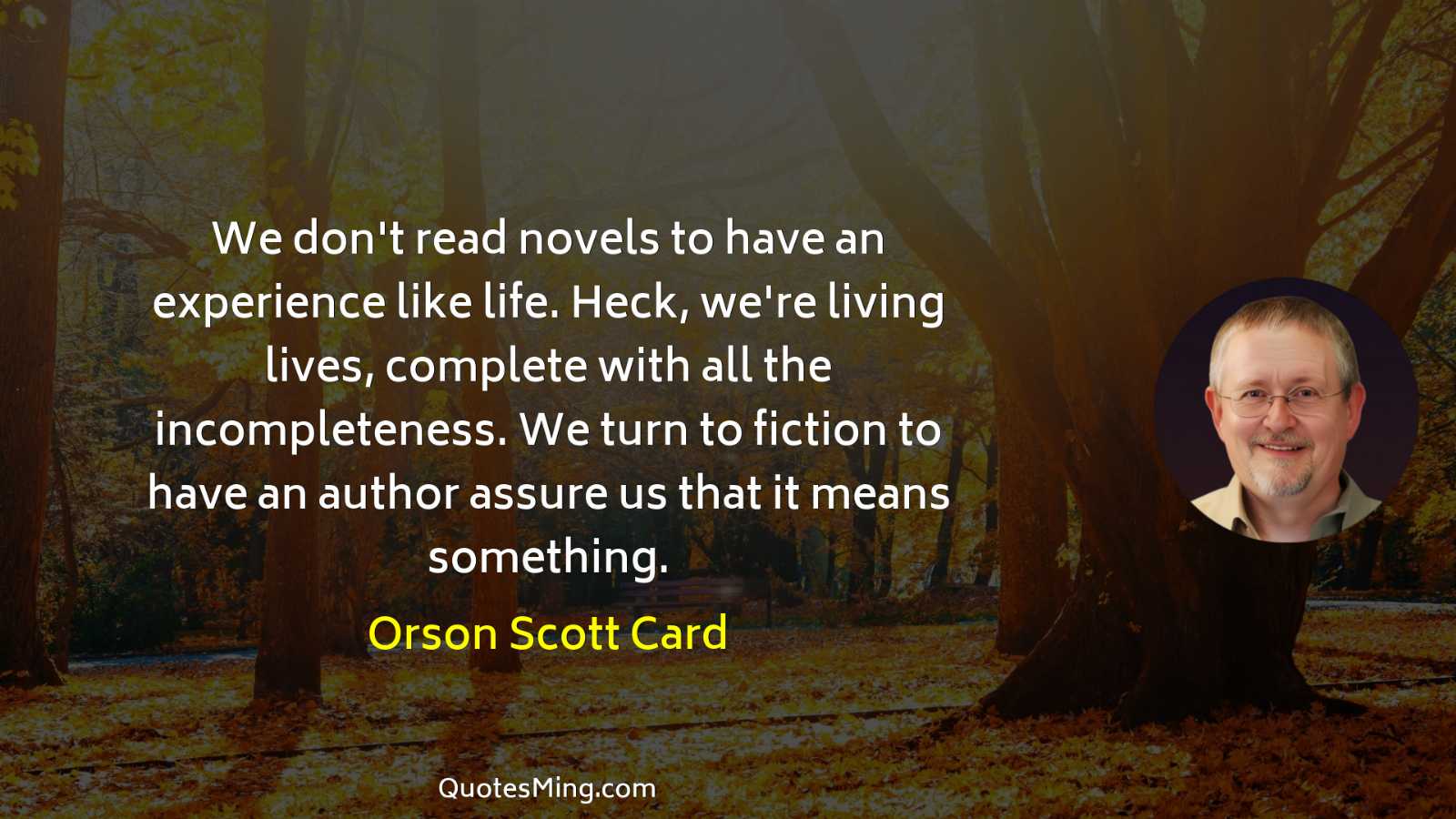 We don't read novels to have an experience like life