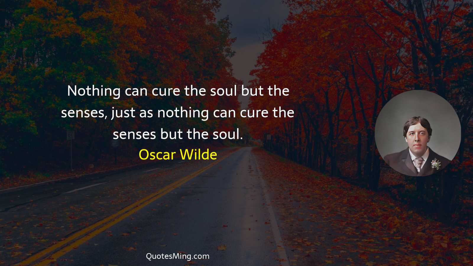 Nothing can cure the soul but the senses just as