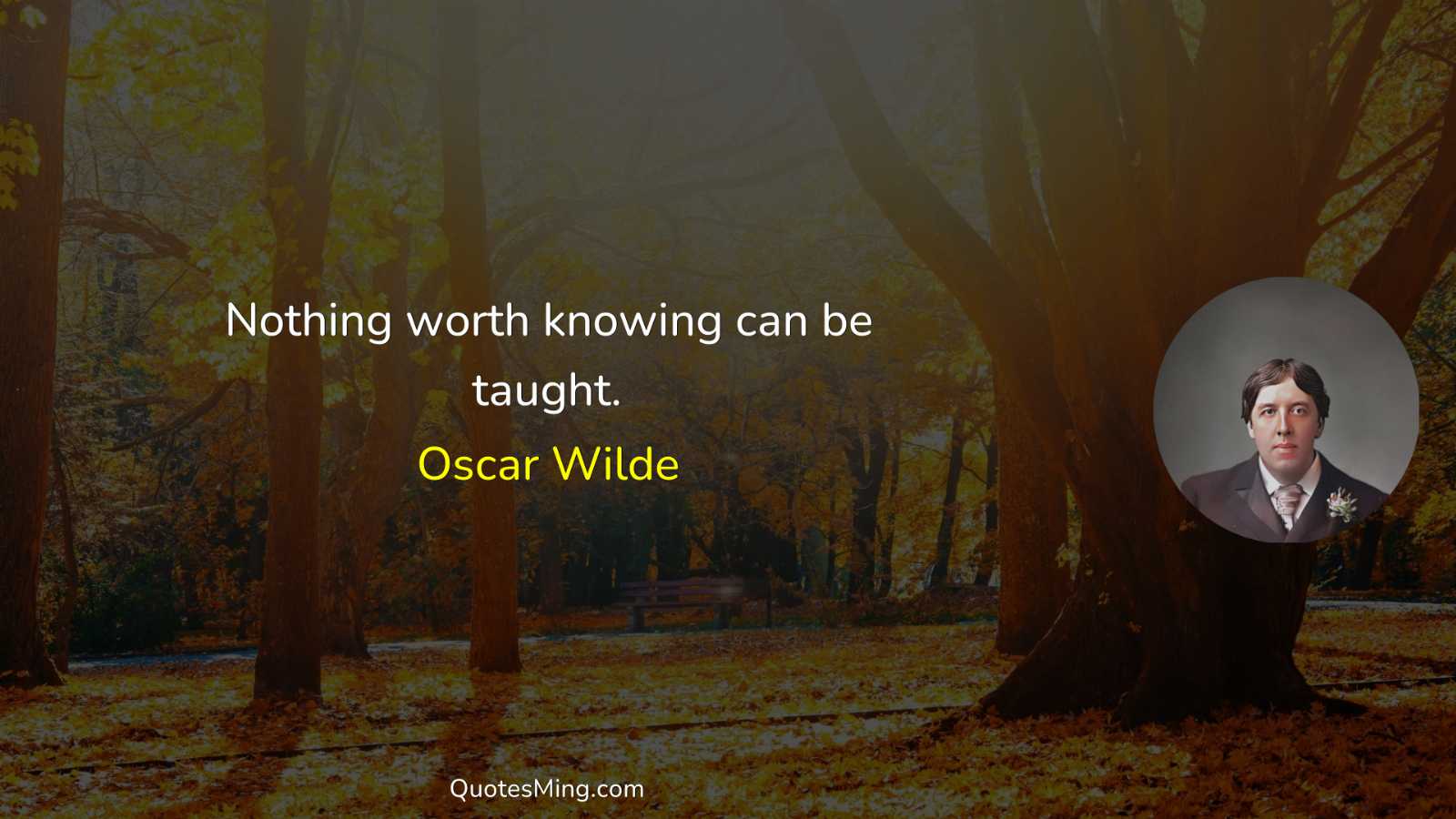 Nothing worth knowing can be taught