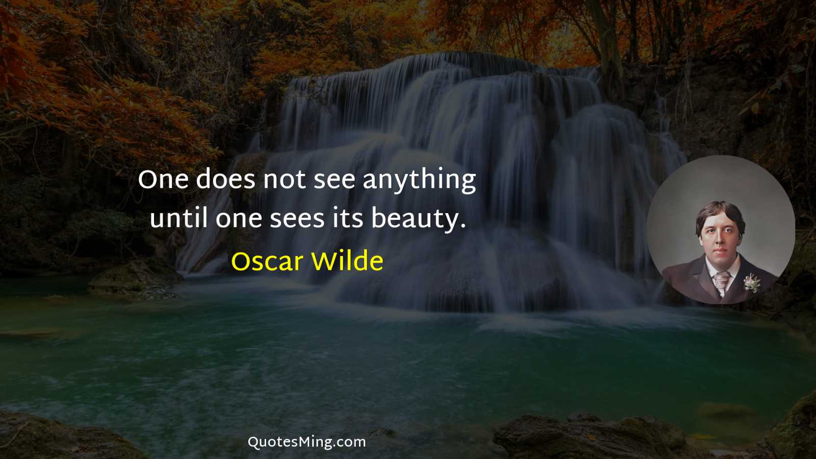 One does not see anything until one sees its beauty