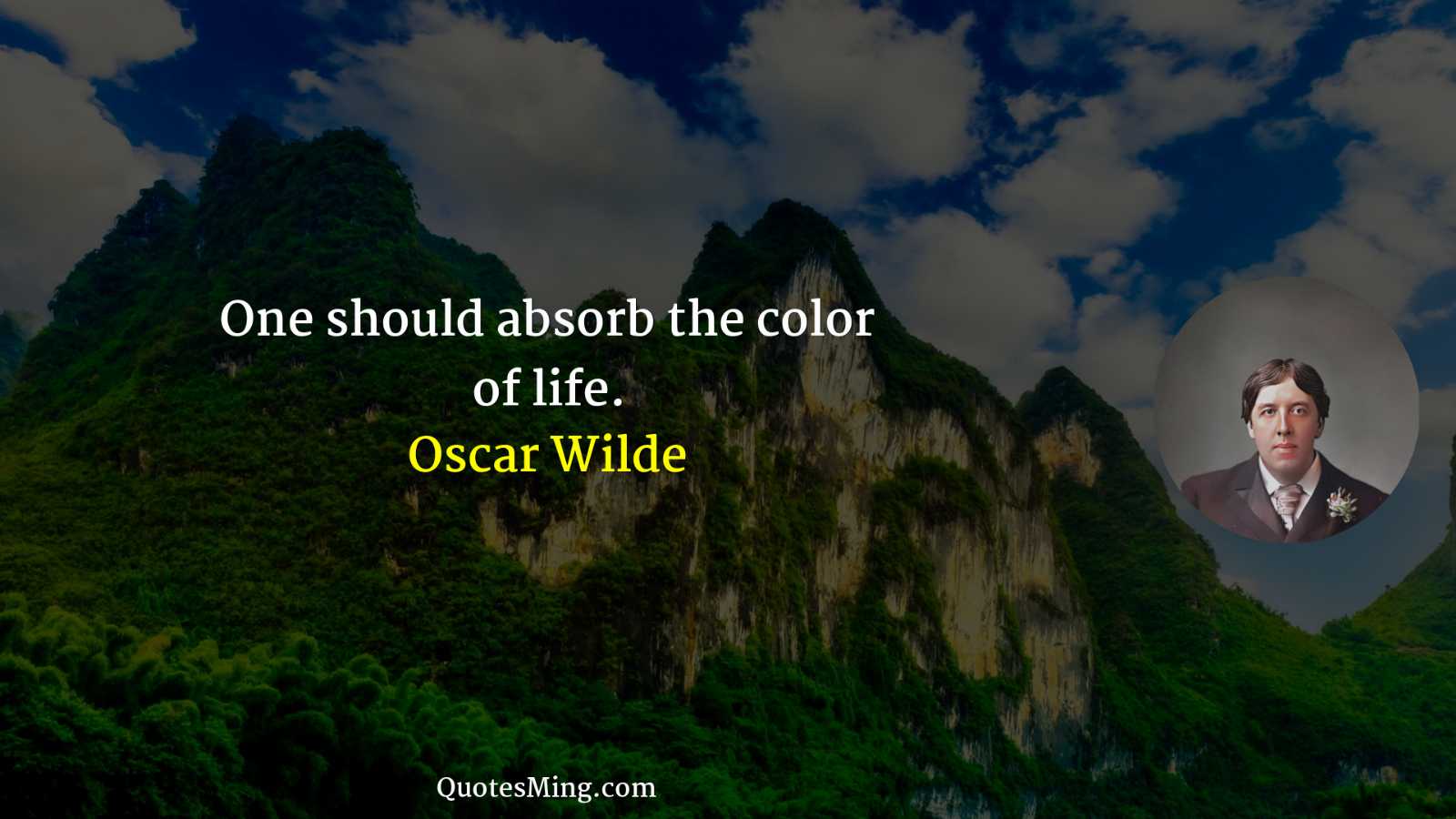 One should absorb the color of life