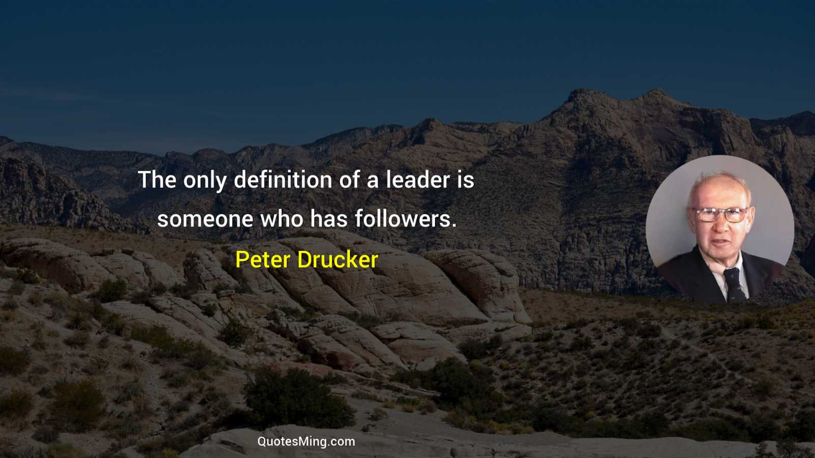 The only definition of a leader is someone who has