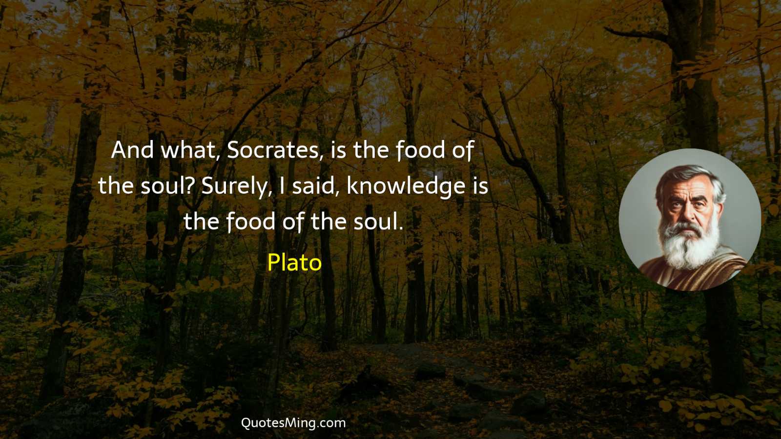 And what Socrates is the food of the soul? Surely