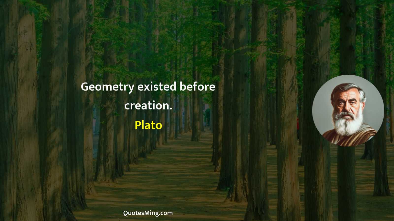 Geometry existed before creation