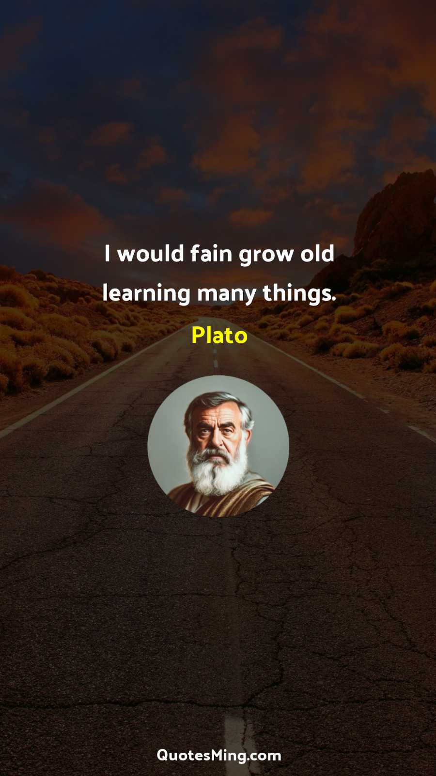 I would fain grow old learning many things