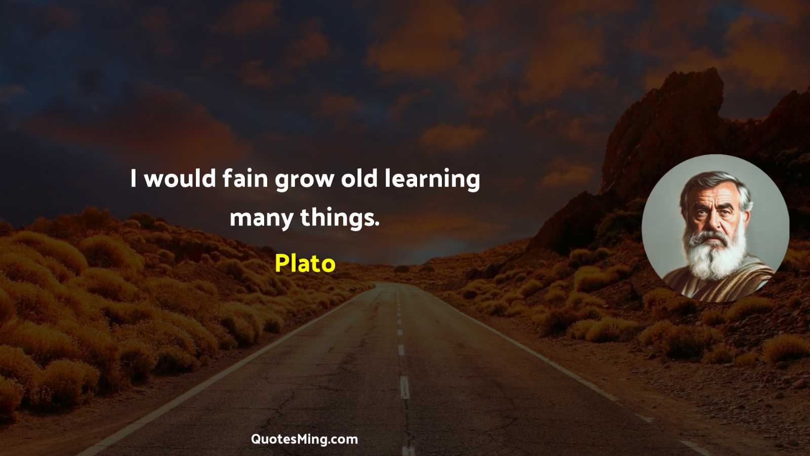 I would fain grow old learning many things