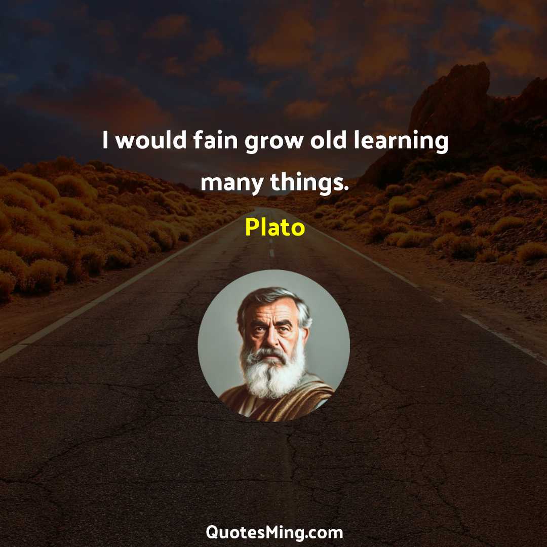 I would fain grow old learning many things