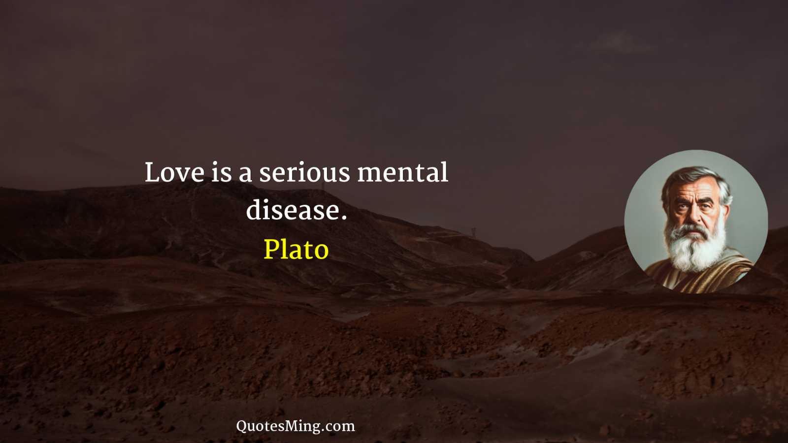 Love is a serious mental disease