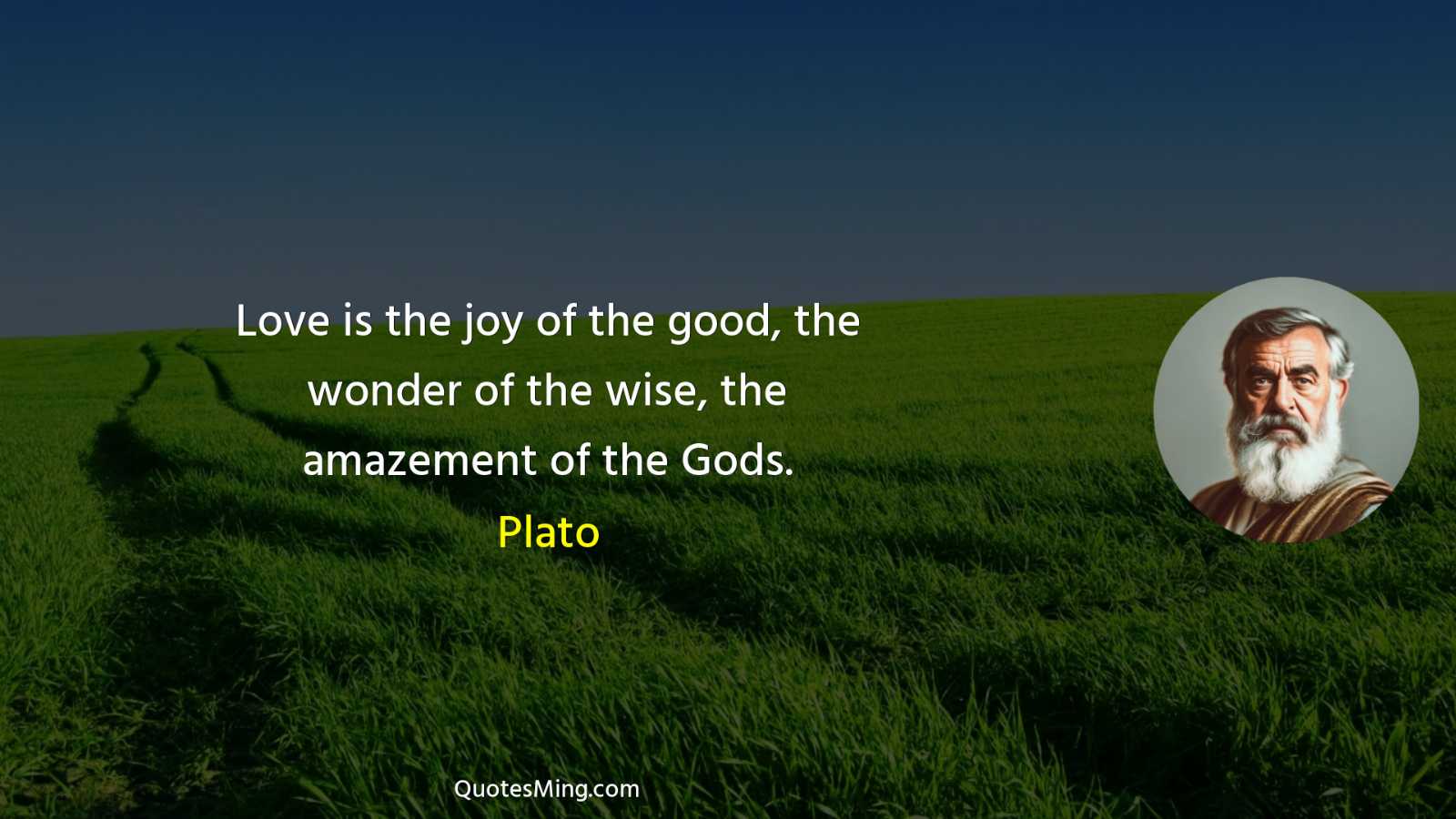 Love is the joy of the good the wonder of