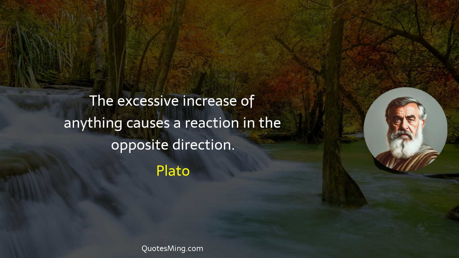 The excessive increase of anything causes a reaction in the