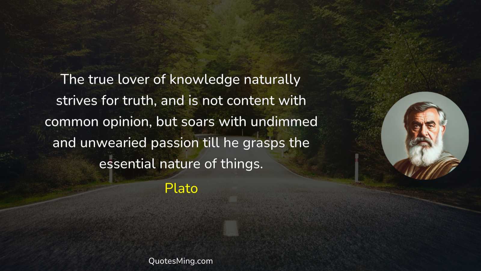 The true lover of knowledge naturally strives for truth and