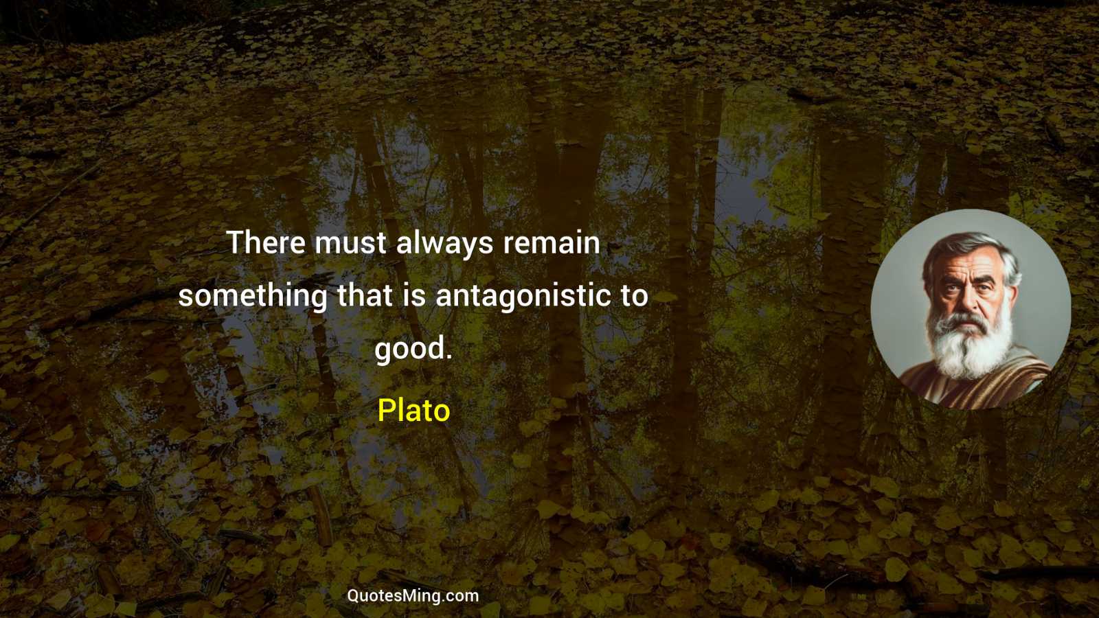 There must always remain something that is antagonistic to good