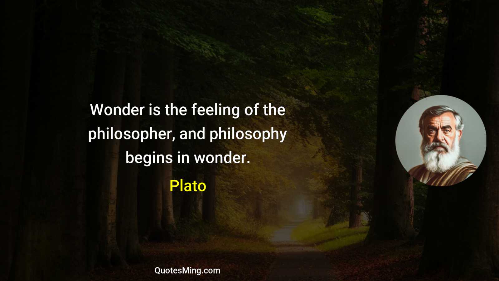 Wonder is the feeling of the philosopher and philosophy begins