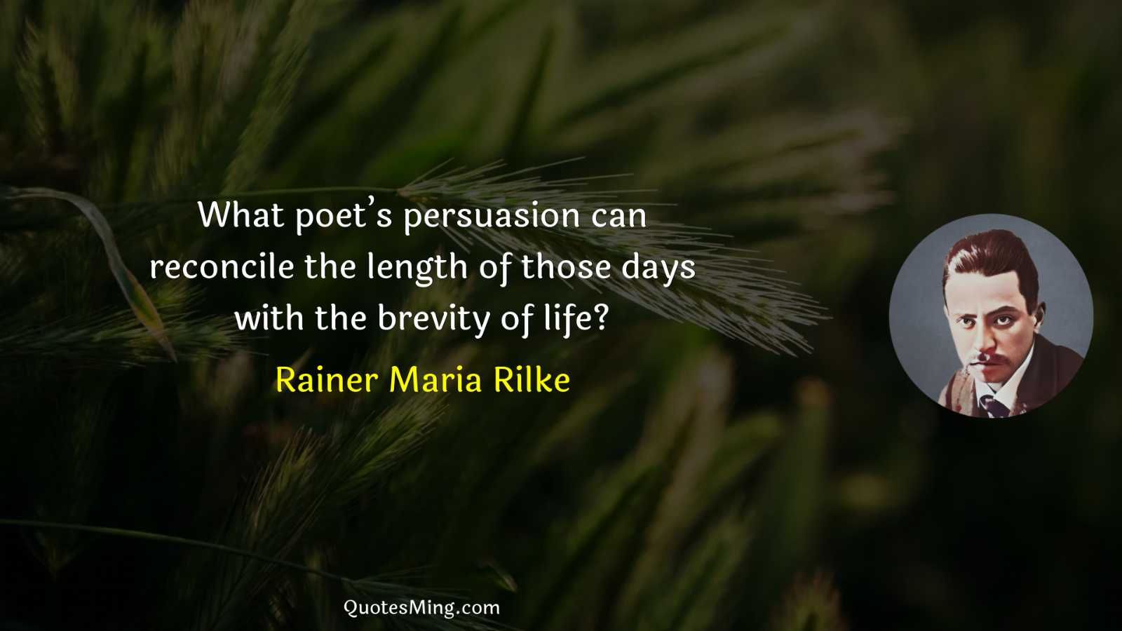 What poet’s persuasion can reconcile the length of those days