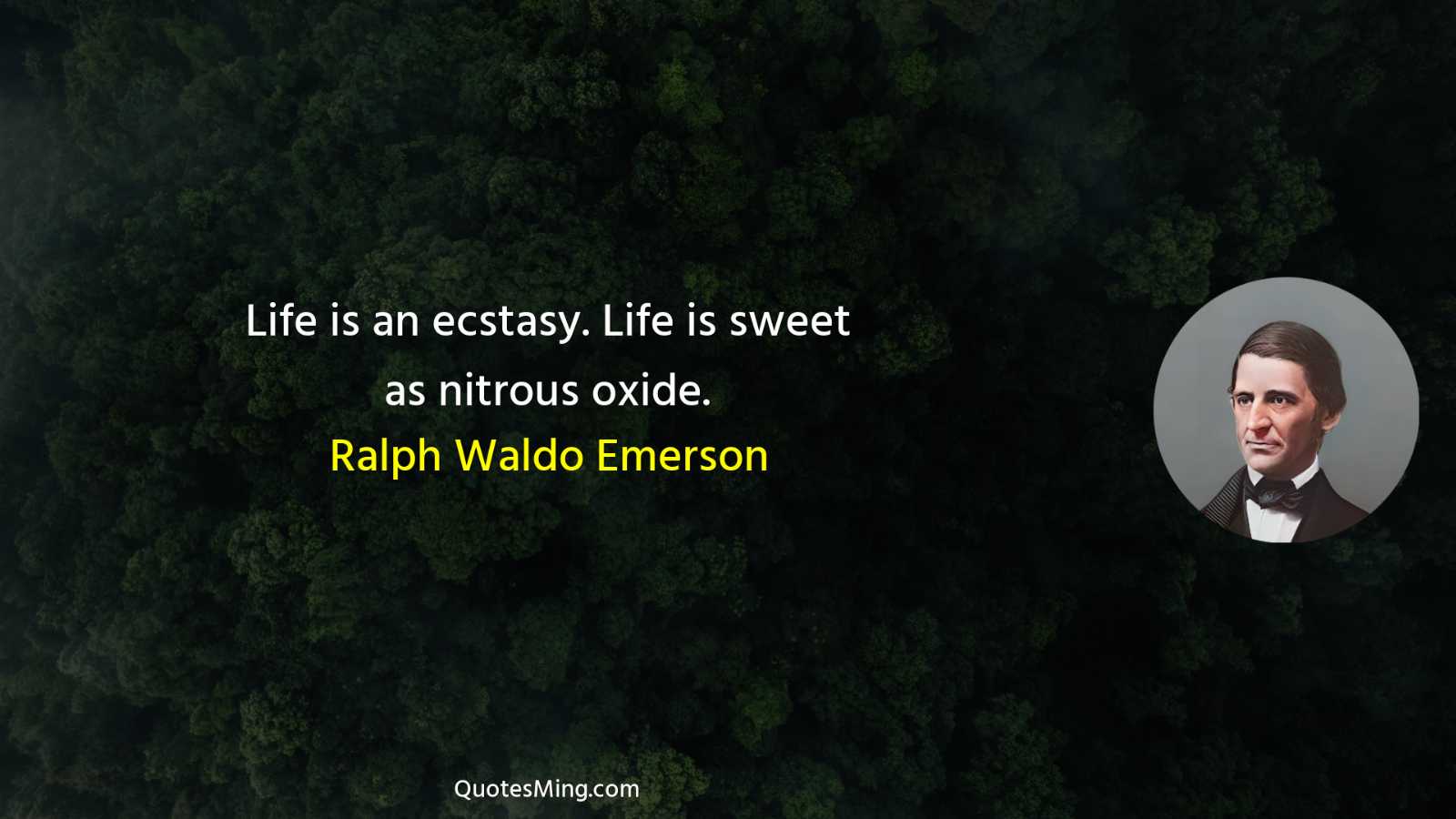 Life is an ecstasy Life is sweet as nitrous oxide