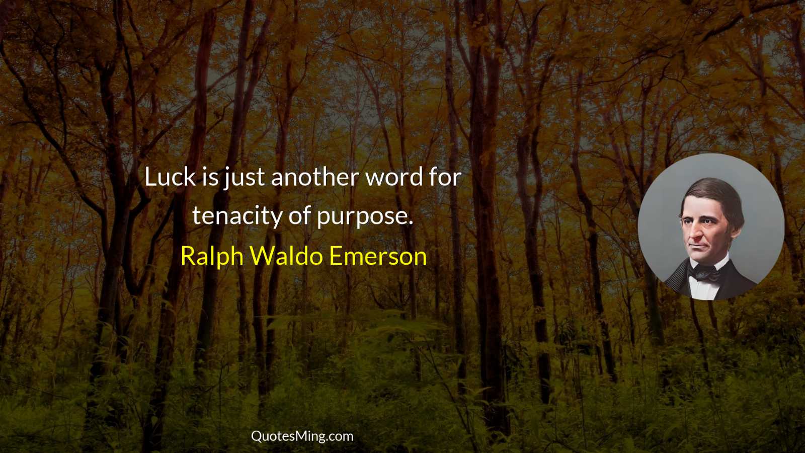 Luck is just another word for tenacity of purpose