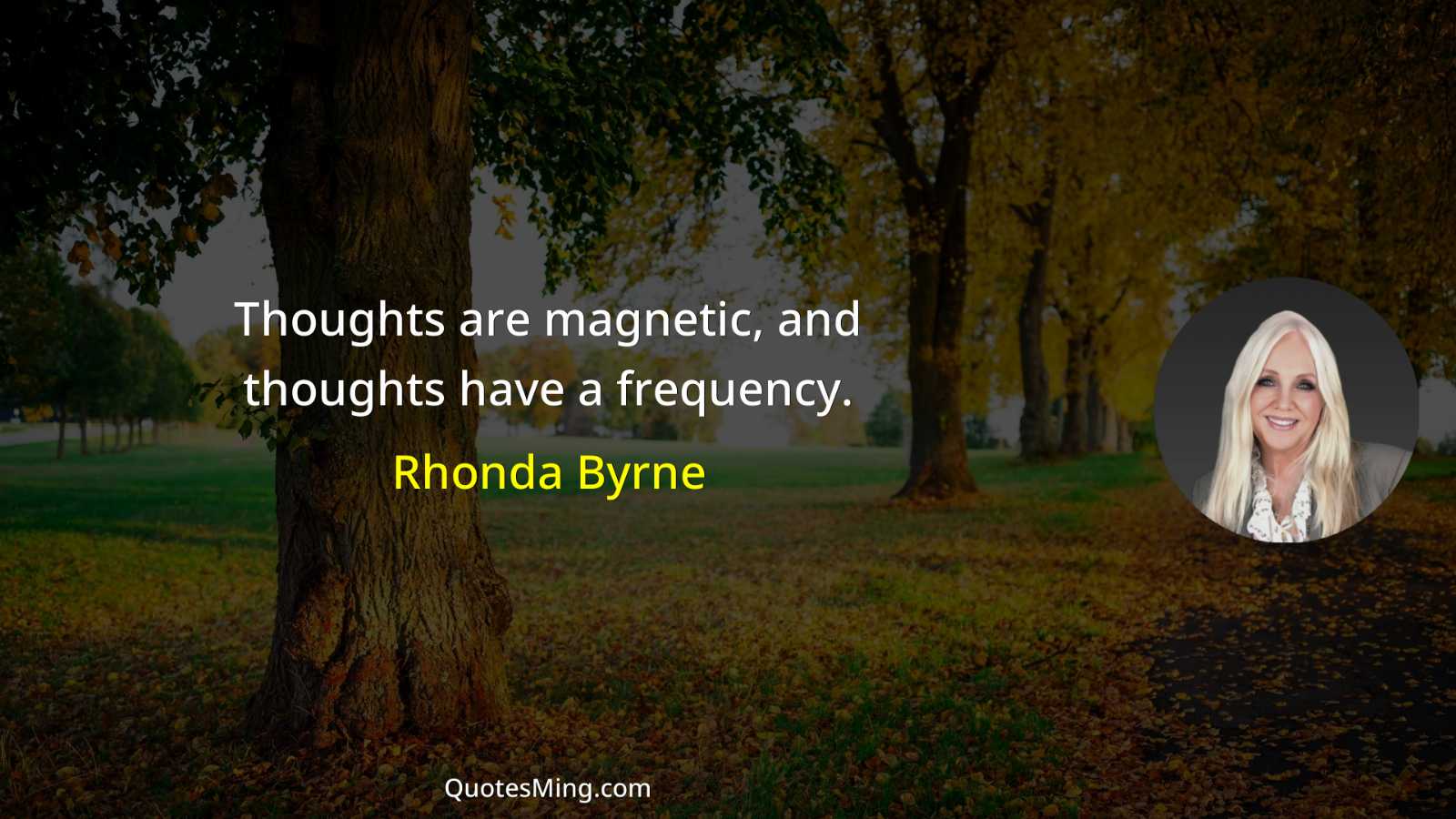 Thoughts are magnetic and thoughts have a frequency