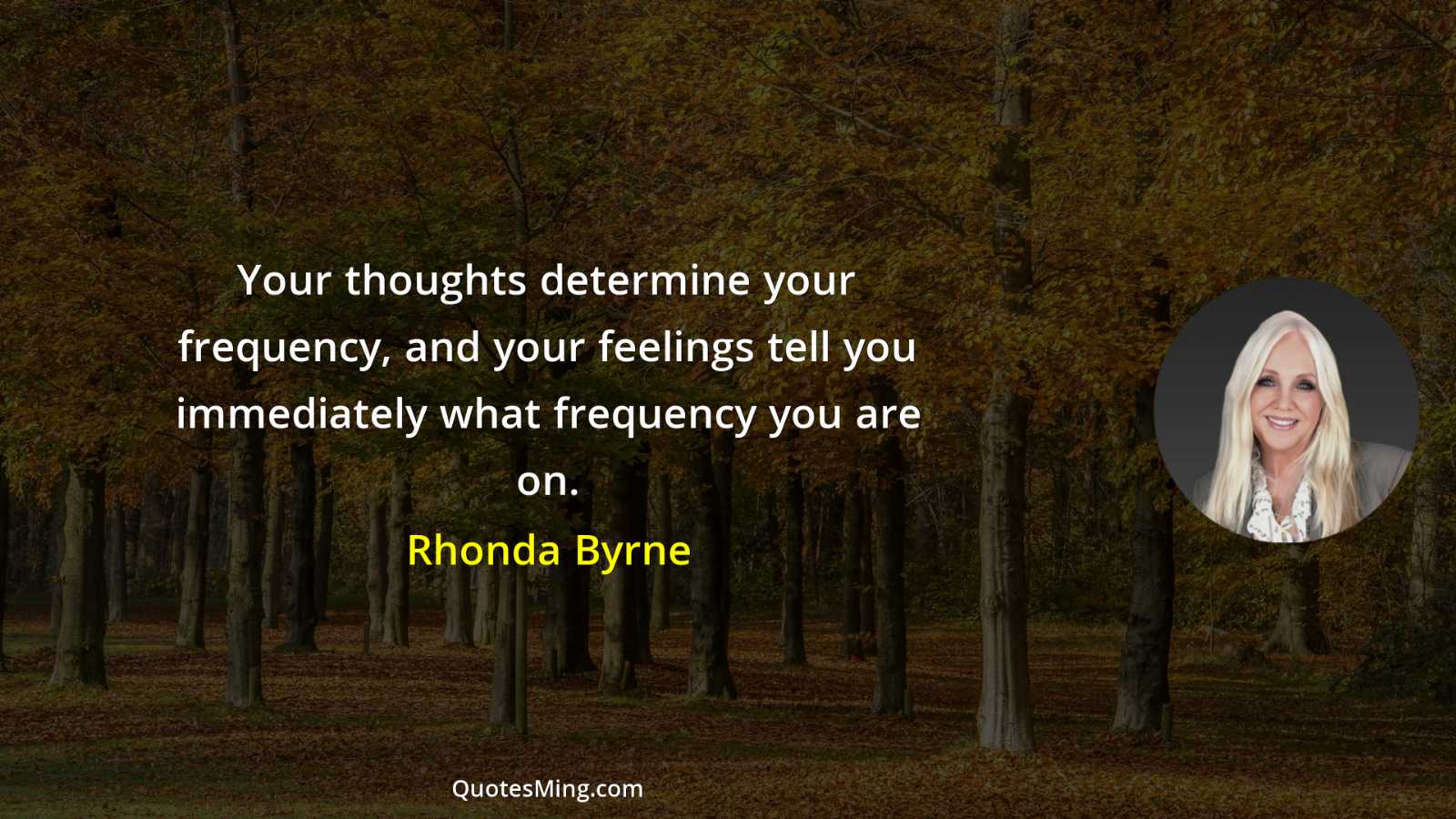 Your thoughts determine your frequency and your feelings tell you