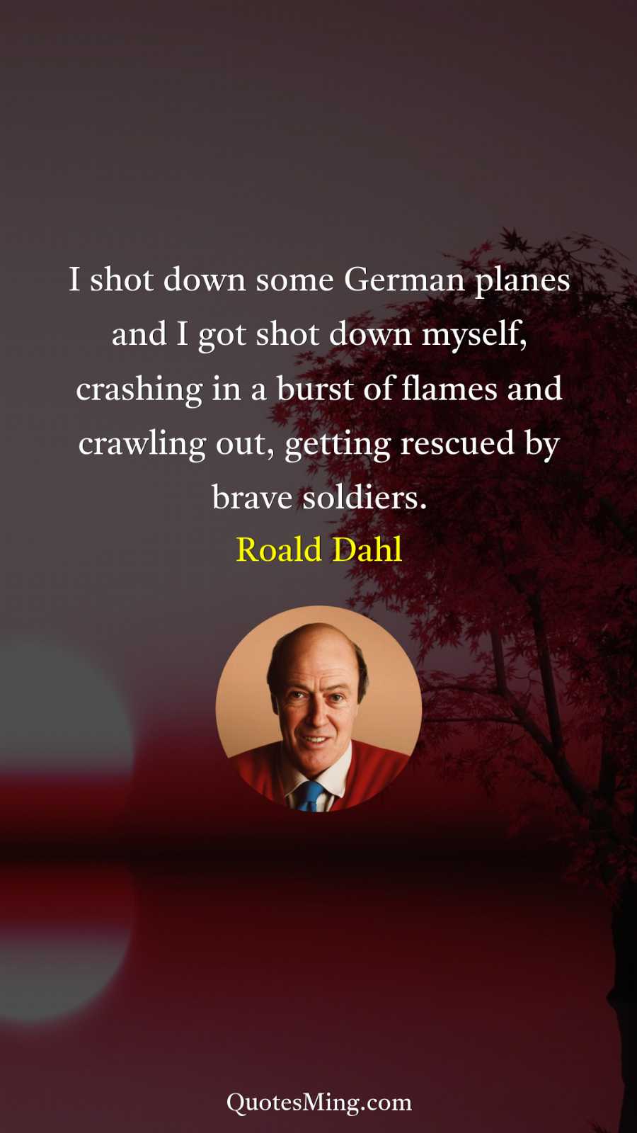 I shot down some German planes and I got shot