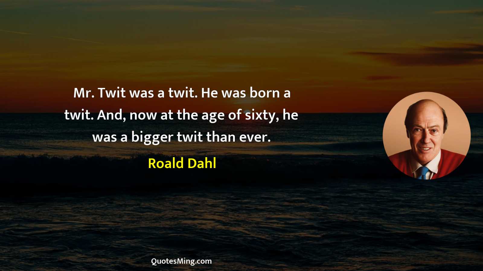 Mr Twit was a twit He was born a twit