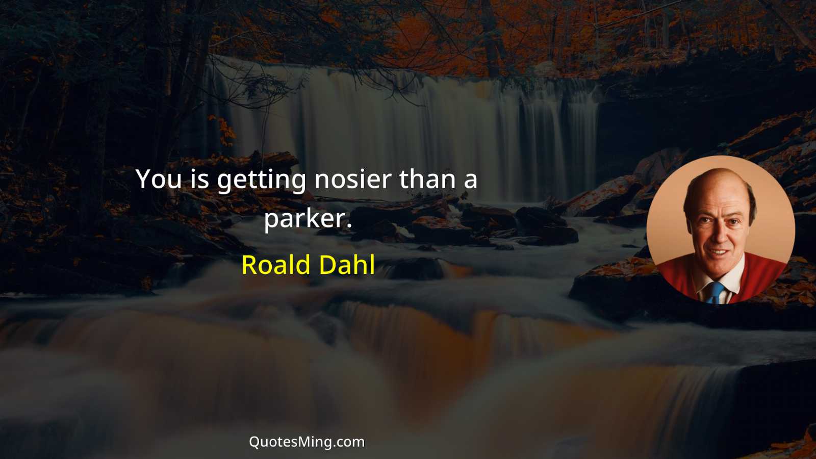 You is getting nosier than a parker