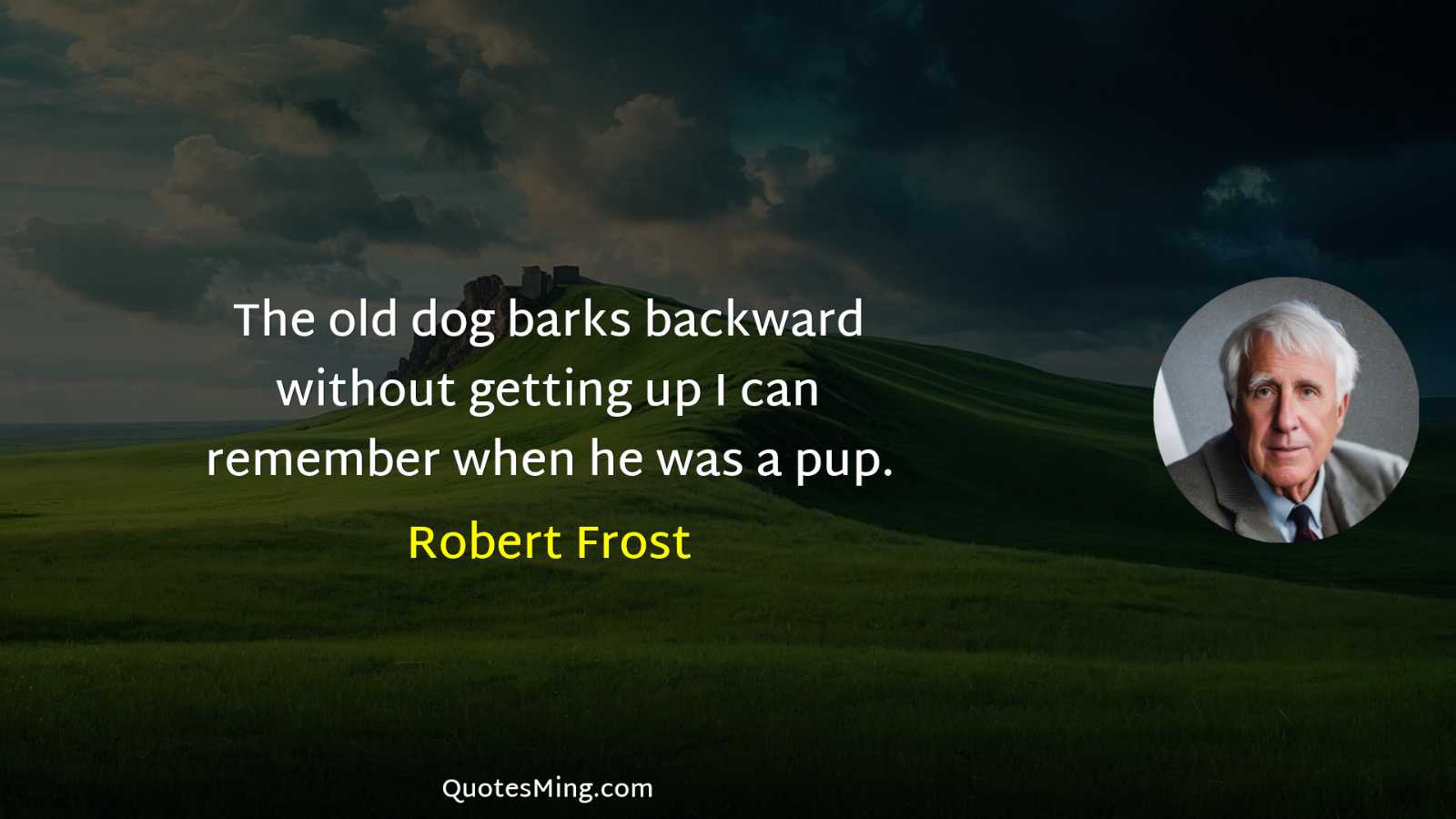 The old dog barks backward without getting up I can