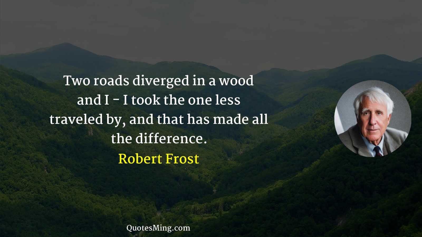 Two roads diverged in a wood and I - I