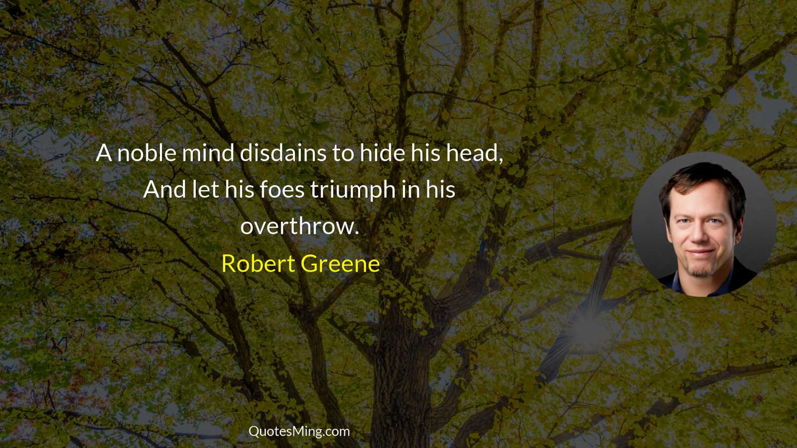 A noble mind disdains to hide his head And let