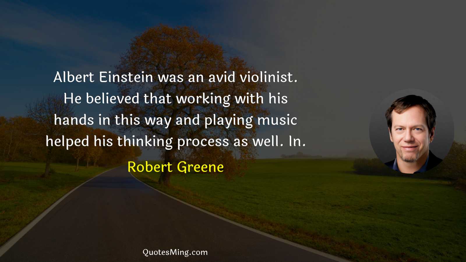 Albert Einstein was an avid violinist He believed that working