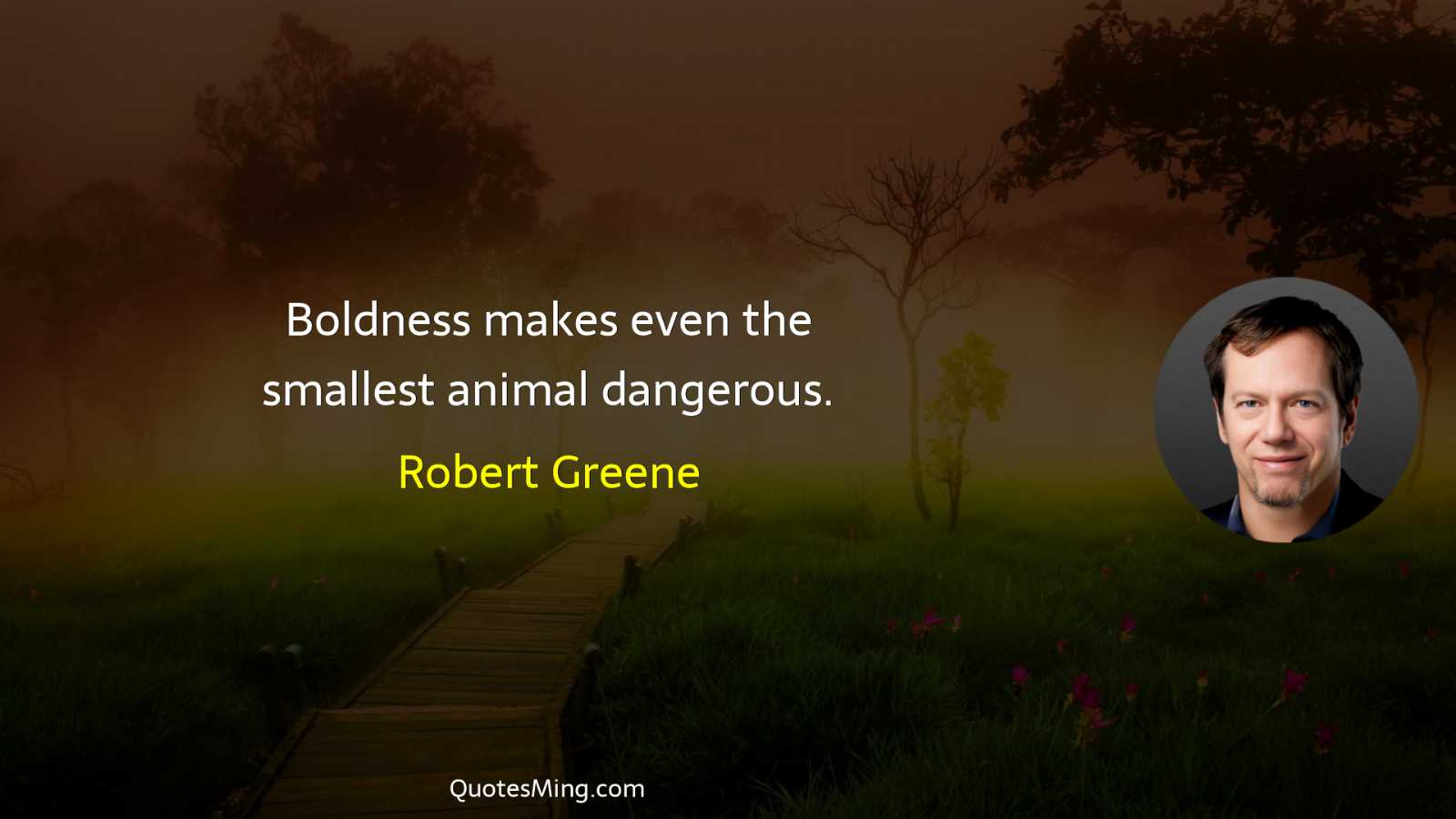 Boldness makes even the smallest animal dangerous