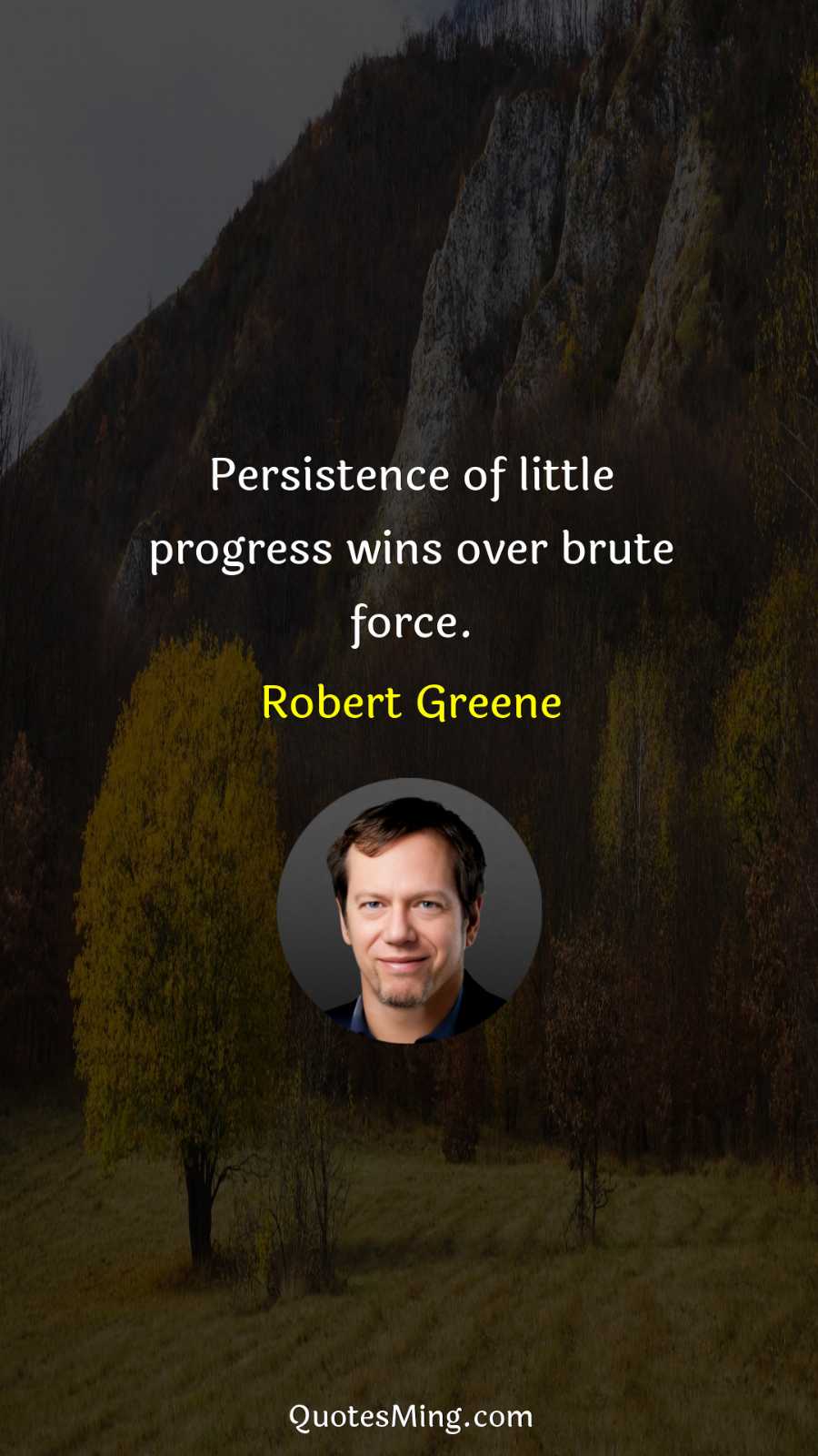 Persistence of little progress wins over brute force