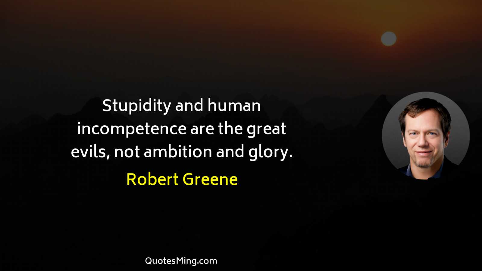 Stupidity and human incompetence are the great evils not ambition